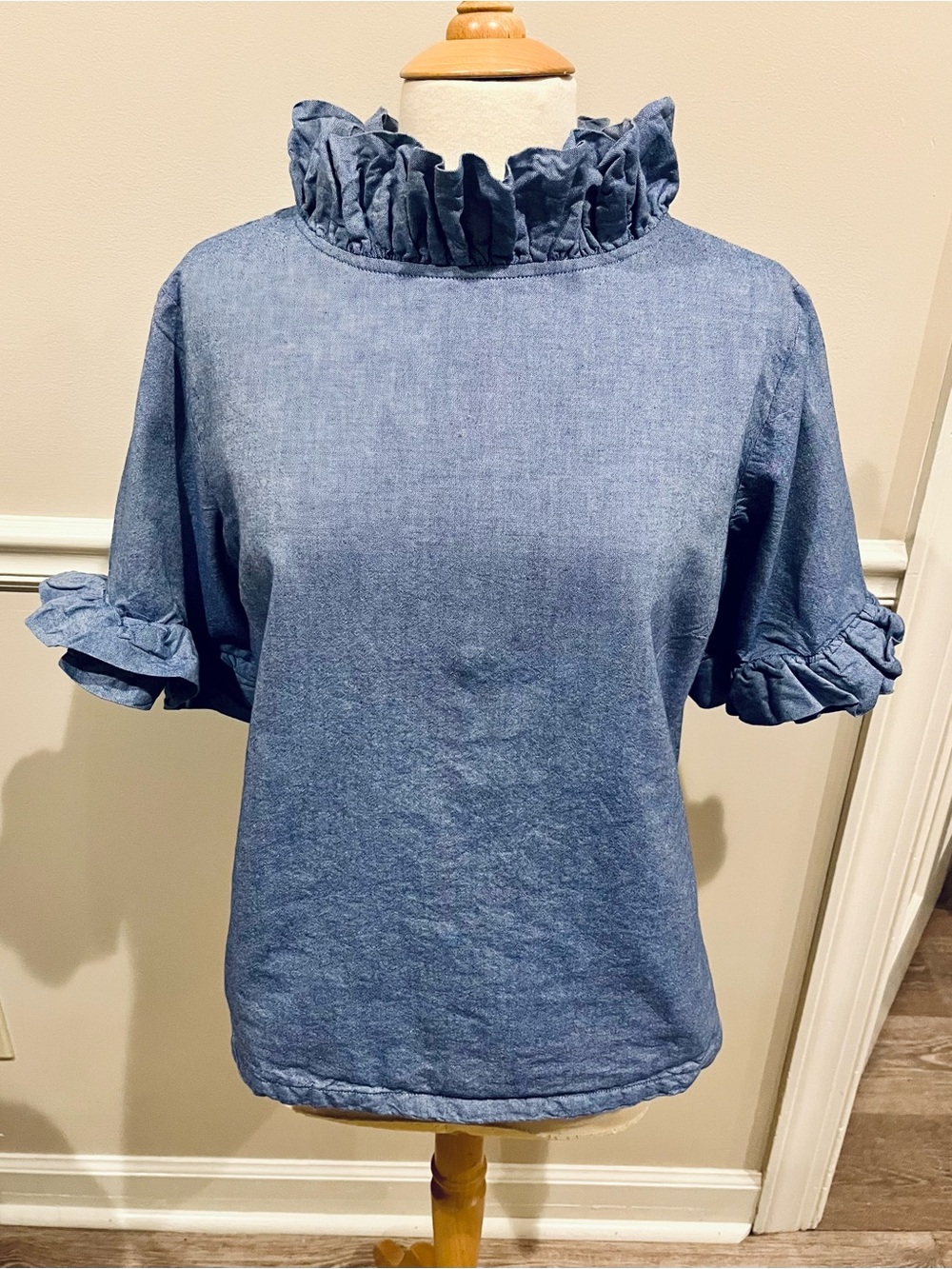 Elizabeth Wilson Ruffled Chambray Short-Sleeve Top